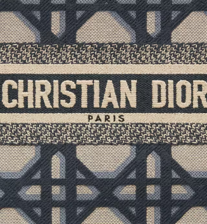 SMALL DIOR BOOK TOTE